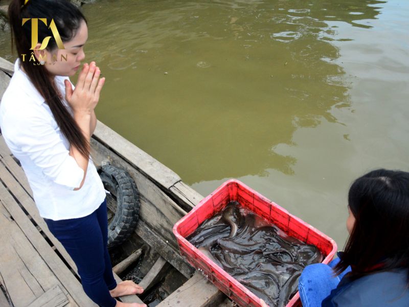 Hướng Dẫn Đọc Văn Khấn Phóng Sinh Đơn Giản, Dễ Hiểu Một số điều gia chủ cần lưu ý về nghi thức và văn khấn phóng sinh