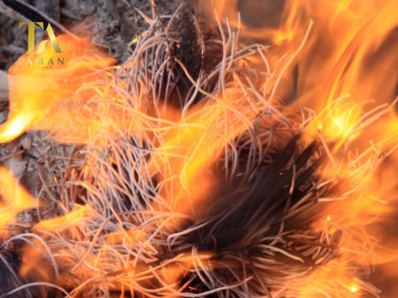 Góc nhìn của người Việt khi bát hương hóa âm và hóa dương